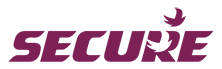 Secure Logo